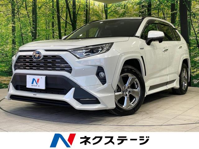ＲＡＶ４(トヨタ) ハイブリッドＧ　４ＷＤ　フルエアロ　純正９インチナビ　バックカメラ　衝突被害軽減システム　レーダークルーズ　禁煙車　電動リアゲート　レザーシート　前席シートエアコン　パワーシート　ドラレコ　コーナーセンサー 中古車画像
