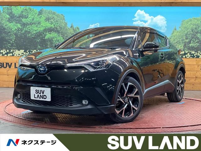 ȥ西 áݣȣ ǡʥӡХå顡եƥ