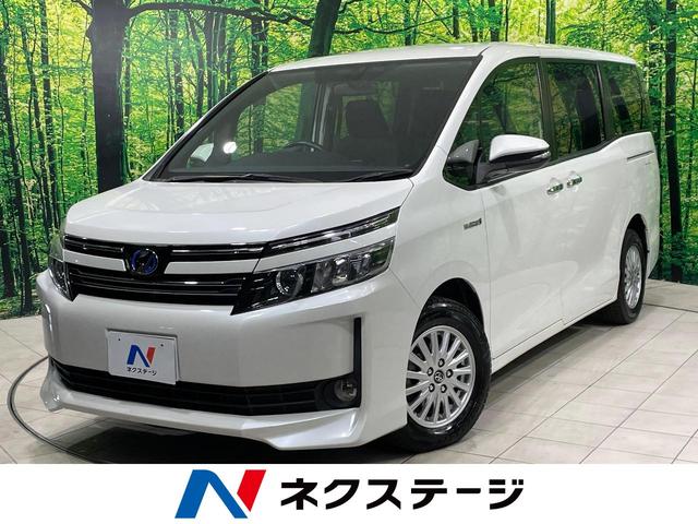  륳ξ¦ưɥȥҡ̣ţĥإåɡХå 1