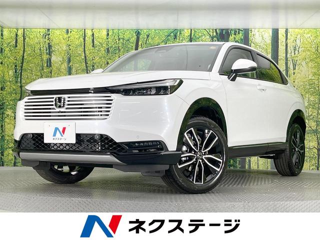 ۥ  塧ȣţ֡ڡϥ顡ﳲڸƥ