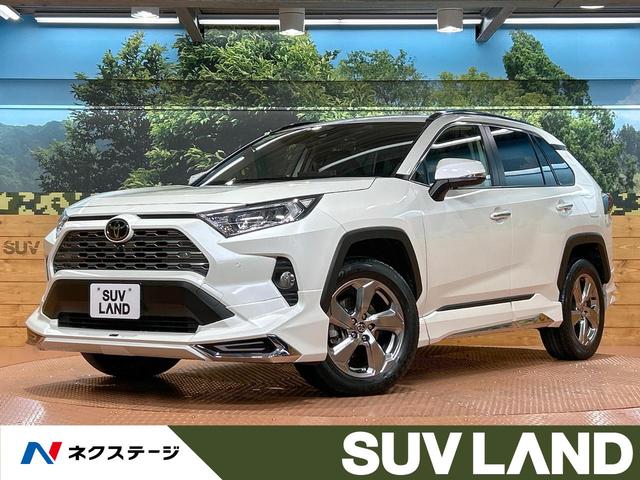 ＲＡＶ４　千葉県 禁煙　モデリスタエアロ　９型ディスプレイオーディオ　全周囲カメラ
