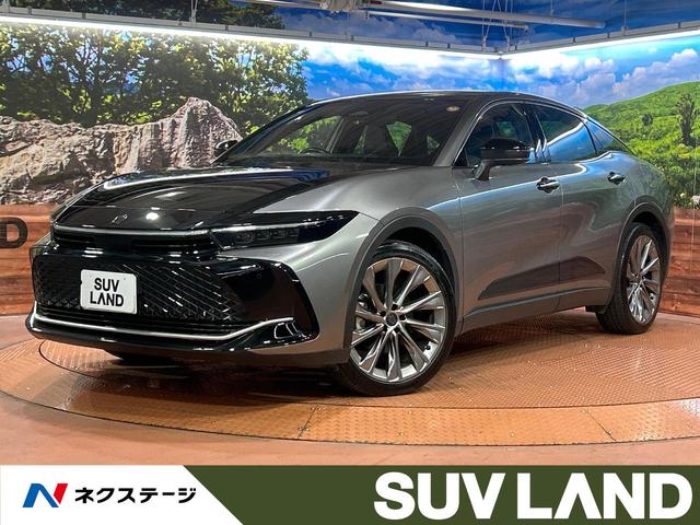 饦󥯥С ףġϥ顡Ÿﳲڸƥ 1