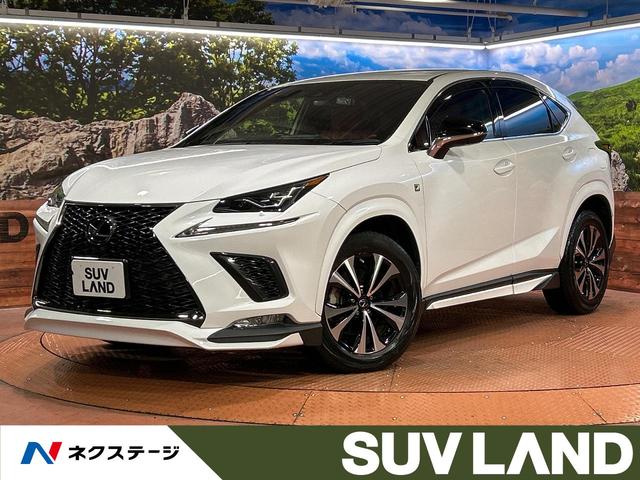 ＮＸ　大阪府 純正ＳＤナビ　バックカメラ　衝突軽減システム　レーダークルーズ　禁煙車