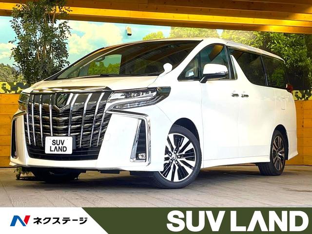 アルファード　福岡県 ９インチディスプレイオーディオ　バックカメラ　セーフティセンス