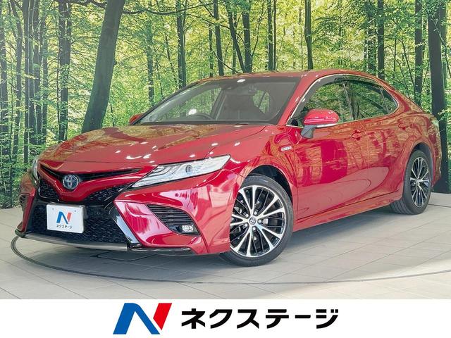 ꡡ縩 쥶ȡɥ쥳ʡ󥵡ޡȥ̣ţĥإå 1