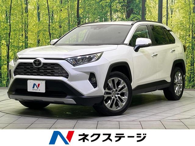 ＲＡＶ４　三重県 パワーバックドア　革シート　シートヒーター　パワーシート　ドラレコ