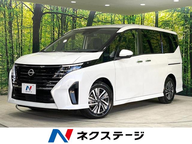 セレナ　栃木県 プロパイロット　純正１２型ナビ　全周囲カメラ　ＢＳＭ　Ｂｌｕｅｔｏｏｔｈ
