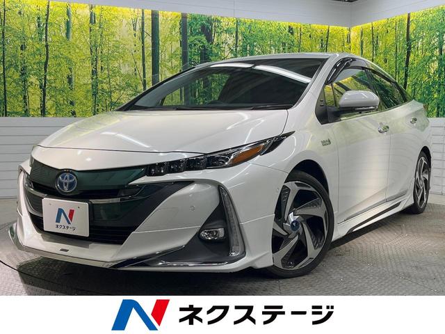 ȥ西 ץꥦУȣ ӥʥӥѥåեƥץ饹ǥꥹե륨ǥꥹ