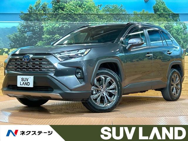 ＲＡＶ４　千葉県 １０型ディスプレイオーディオ　ブラインドスポットモニター