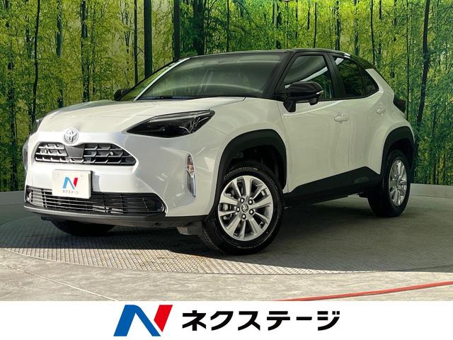 ꥹ²λ ǥץ쥤ǥץ饹ر֡եƥ󥹡졼롼 1