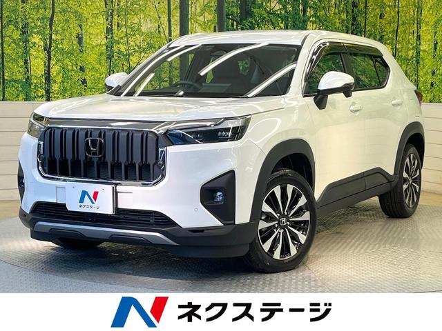 ףҡݣ֡츩 ۥ󥷥󥰡ʥӡХå顡ե륻 1