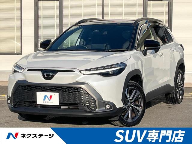 饯ʡ ǥץ쥤ǥץ饹Хå顡եƥ 1