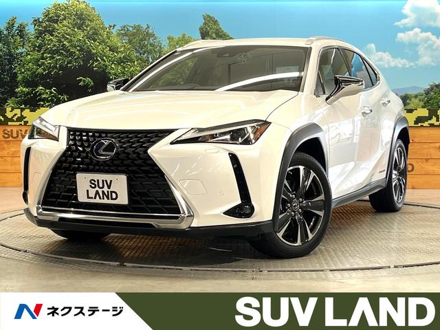 գءܸ ʥӡեƥƥץ饹졼롼 1