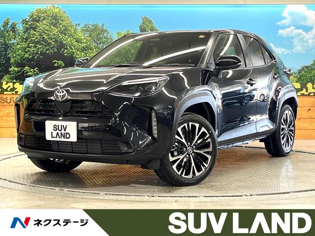 ꥹܸ Ͽ̤Ѽ֡ʥӡѥΥߥåӥ塼եƥ 1