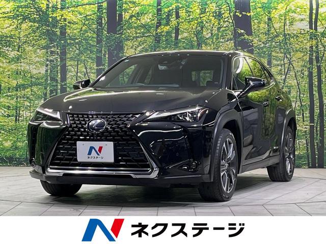 ＵＸ(レクサス) ＵＸ２５０ｈ　バージョンＣ　メーカー１０型ナビ　全周囲カメラ　衝突軽減装置　レーダークルーズ　禁煙車　パワーバックドア　合皮シート　ドラレコ　コーナーセンサー　スマートキー　ＬＥＤヘッド　ＥＴＣ２．０　ブラインドスポットモニター 中古車画像