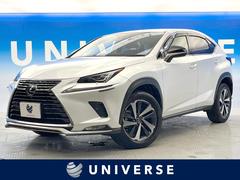 NX NX300 Iパッケージ 純正ナビ バックカメラ シートヒーター レーダークルーズコントロール 禁煙車 電動リアゲート ブラックレザーシート コーナーセンサー スマートキー LEDヘッド 純正18インチアルミホイール フルセグ 中古車画像