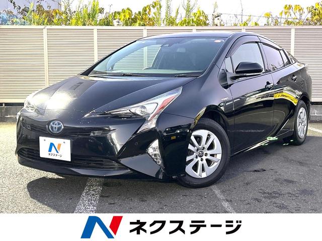 ץꥦ ͷڸ֡ر֡졼롼Хå顡ţԣáե륻 1