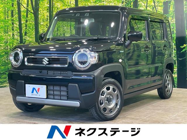  ϥ顼 ϥ֥åɣǡʥӡϥ顡ͷڸ