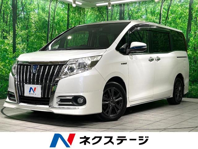 ʬ ե륨ʥӡʥ˥Хå顡ξ¦ựţĥإå 1