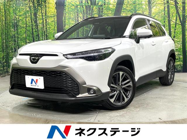 饯θ ʥӡ饹롼աϥ 1