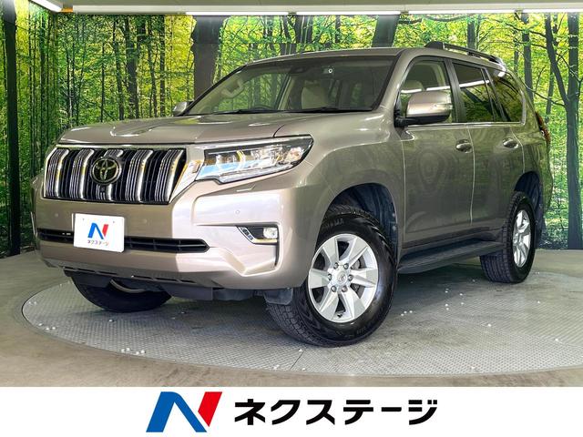 ɥ롼ץɡθ ϥ顡ر֡ţԣãȥҡ 1