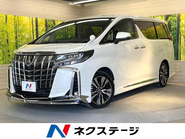 アルファード　栃木県 サンルーフ　モデリスタエアロ　純正９型ＤＡ　両側電動ドア　バックカメラ