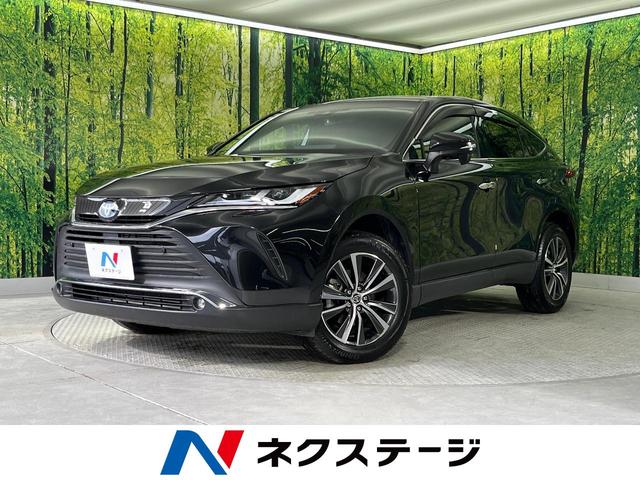 ϥꥢϥ֥åɡ²λ ʥӡر֡եƥ󥹡ʣ£̥ 1