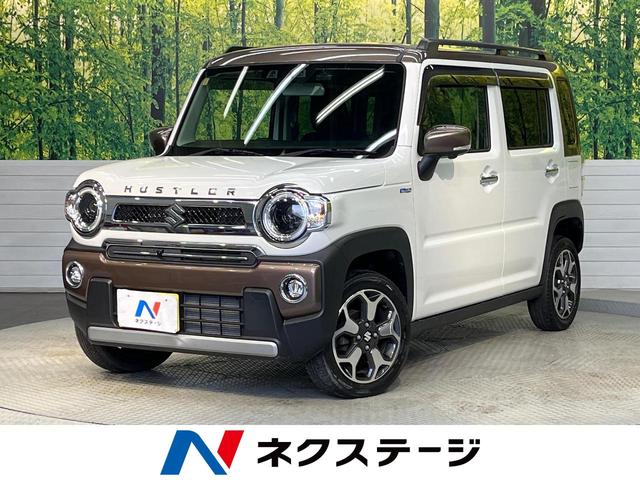 ϥ顼ʡ ʥӡ̥˥եƥݡȡꥢ󥹥ʡ 1