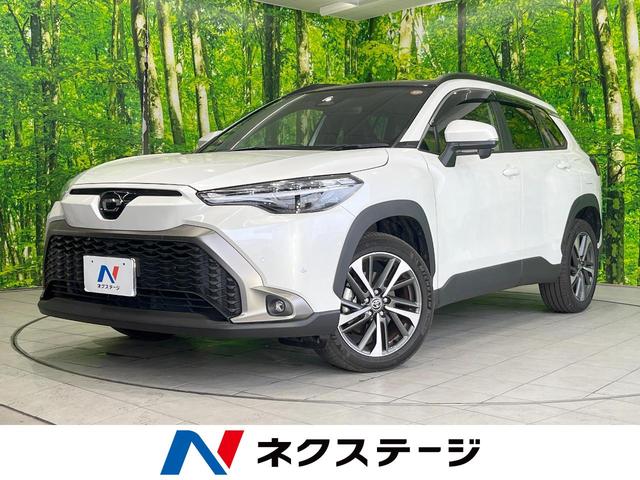 ȥ西 饯 ϥ֥åɡڡХå顡ﳲڸƥ