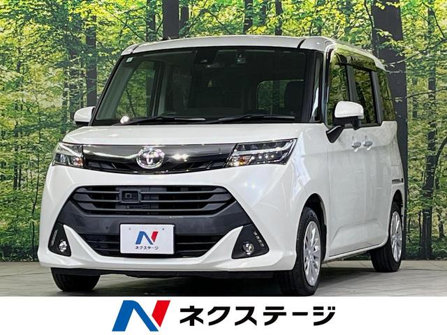 ȥ西  ǡӡʥӡξ¦ư饤ɥɥ