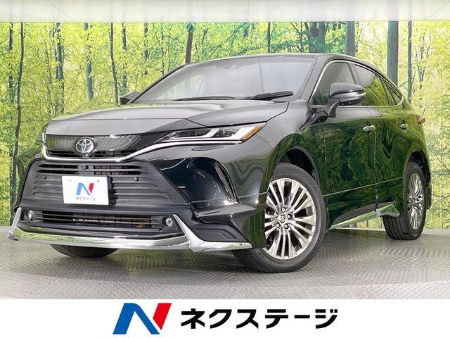 ȥ西 ϥꥢ ڡ쥶ѥåǥꥹե륨ϥ