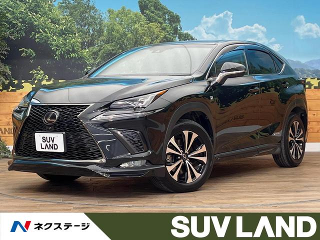 Σء̳ƻ ԣңĥ롼աʥӡϥ顡ѥХåɥ 1