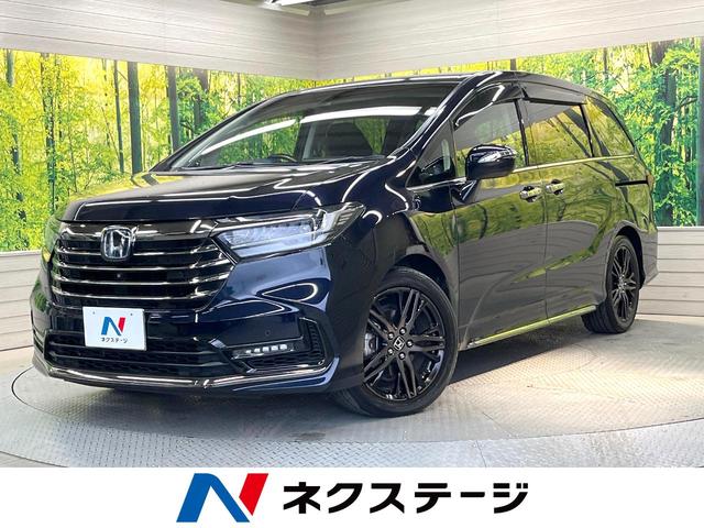 ǥåϥ֥åɡڸ ӣĥʥӡξ¦ưɥϥ顡ﳲڸƥ 1