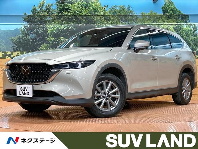 ＣＸ－８　千葉県 １０型ナビ　全周囲カメラ　レーダークルーズ　シートヒーター　パワーシート