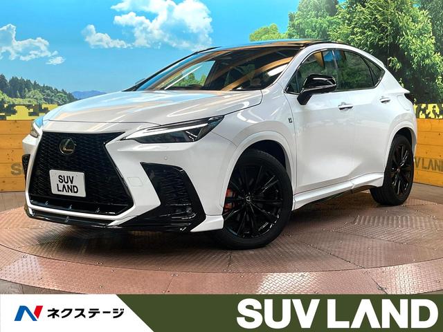 Σءʼ˸ ѥΥޥ롼աѥΥߥåӥ塼˥졼롼ȥ 1