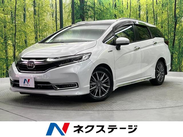 ȥ롡²λ ʥӡХå顡ۥ󥷥󥰡ر֡ϡե쥶 1