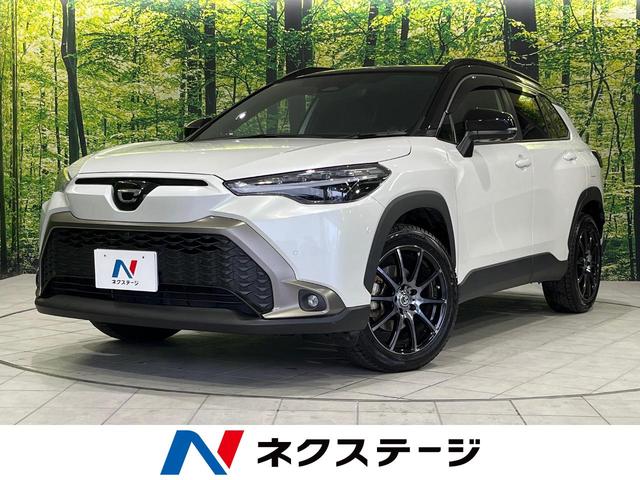 J[NX(g^) nCubh@y@Svc@KX[t@W^fBXvCI[fBI@S̓J@hR@dsb@POOud@Փ˔Qy@։ԁ@[_[N[Y@dAQ[g@n[tU[V[g@p[V[g Îԉ摜