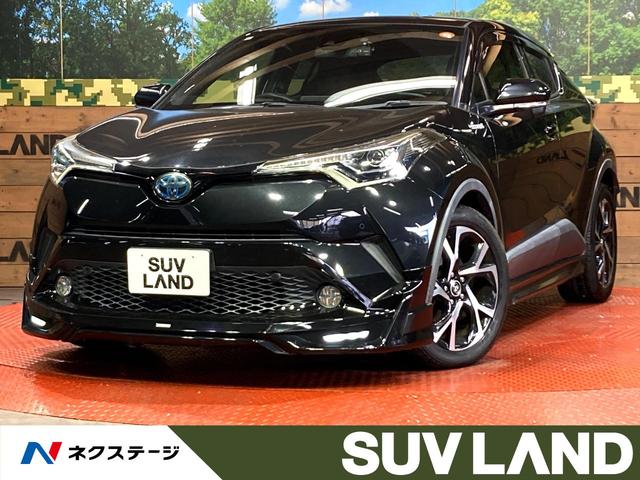 áݣȣҡθ Хå顡ﳲڸƥࡡ졼롼ϡե쥶 1