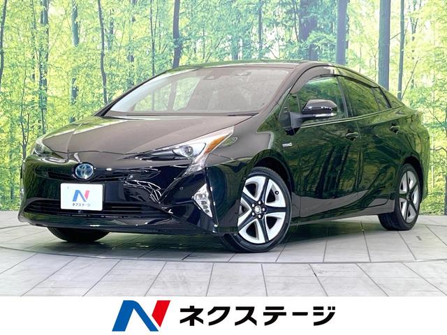 ץꥦŸ ʥӡͷڸر֡Хå顡졼롼£ӣ 1