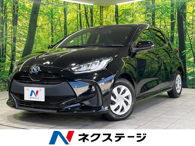 ȥ西 ꥹ ϥ֥åɣǡǥץ쥤ǥХå顡졼롼ȥ