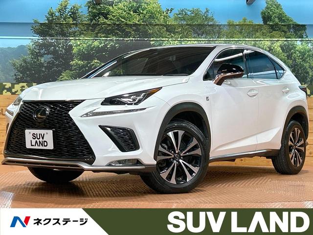 mw(NTX) mwROO@eX|[c@։ԁ@T[t@[J[ir@obNJ@[_[N[Y@ԊvV[g@V[gGAR@dAQ[g@POOud@fW^Ci[~[@uChX|bgj^[@kdcwbh@dsb Îԉ摜