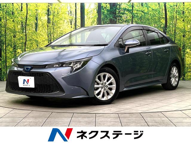 ȥ西  ϥ֥åɡӡХå顡ﳲڸƥ