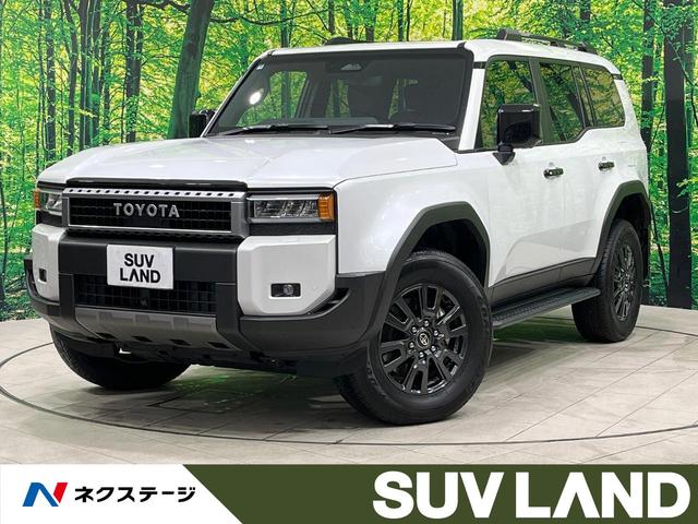 ɥ롼ո ر֡롼աǥץ쥤ϥ顡֥饤ɥ 1