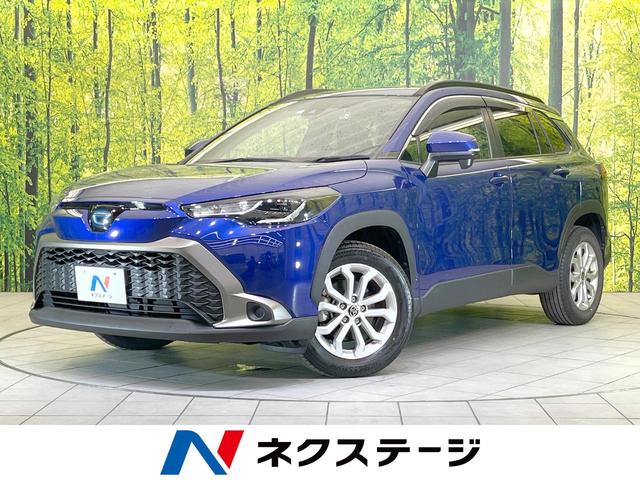 ȥ西 饯 ϥ֥åɡӡХå顡ﳲڸƥ