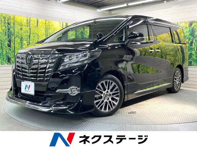 ȥ西 ե ӡåѥå롼աǥꥹ