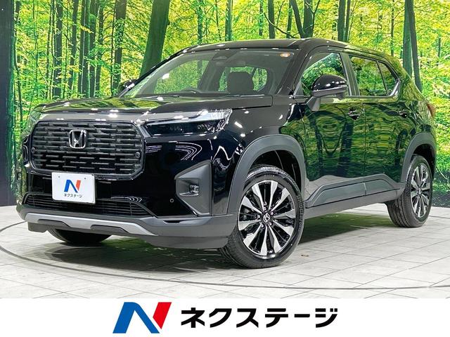 ףҡݣ֡븩 ץƥ֥롼ʡ󥵡졼󥢥ȡޡȥ 1