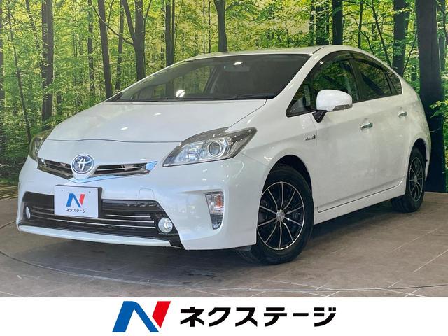 ȥ西 ץꥦ ӡӣĥʥӡХå顡ޡȥ