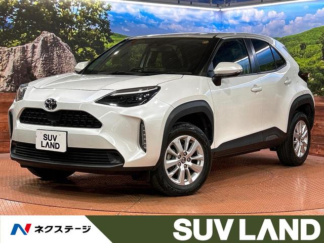 ȥ西 ꥹ ǡǥץ쥤ǥϥ顡ȥ西եƥ