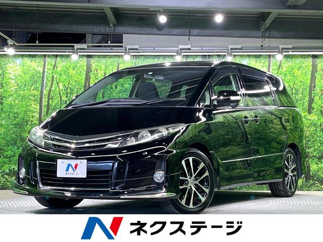 ƥޡ ǥꥹ롼աեåץ˥ξ¦ѥ凉 1