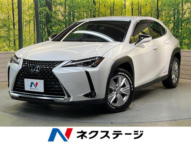 գء츩 ͷڸ᡼ʥӡХå顡ȥҡر 1